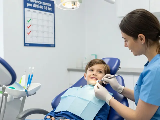 Kdy je dentální hygiena zdarma? Pravda o bezplatných vyšetřeních v České republice