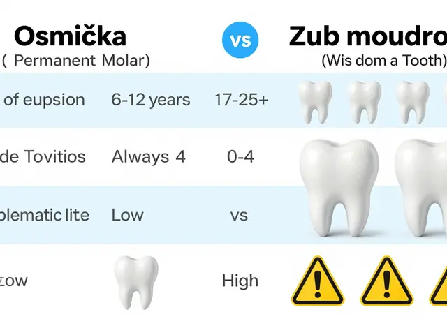 Jak dlouho roste stolička? Kompletní průvodce výskytem osmiček a moudrosti